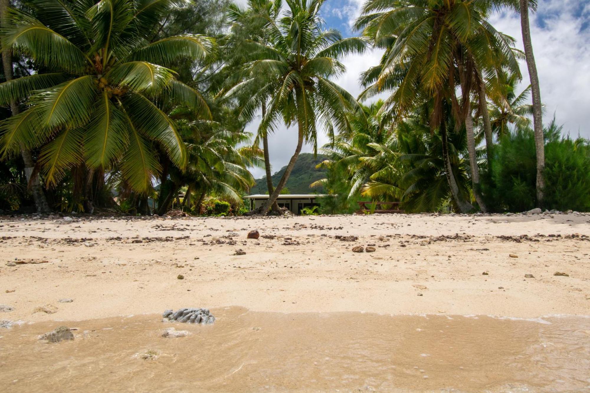 Shoreline Escape راروتونغا المظهر الخارجي الصورة